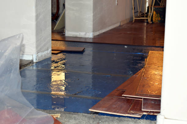 Professional Emergency Water Damage Restoration technician working in Houston, MO